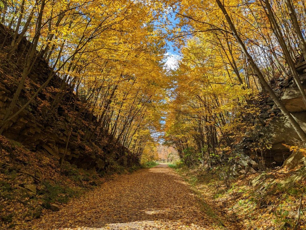 Stay In Ohiopyle In The Middle Of Town By The Gap Trail Eksteriør bilde